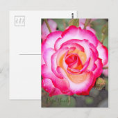 Carte Postale Rosa Nicole [Carte postale] (Devant / Derrière)