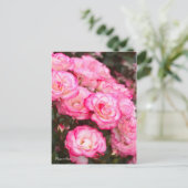 Carte Postale Rosa Nicole [Carte postale] (Debout devant)