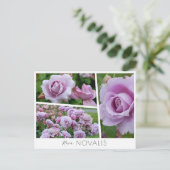 Carte Postale Rosa Novalis (Debout devant)