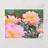 Carte Postale Rosa Peace (Devant)