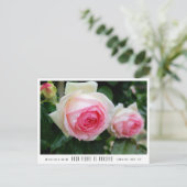 Carte Postale Rosa Pierre de Ronsard (Debout devant)