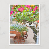 Carte Postale Rosa Playboy (Devant)