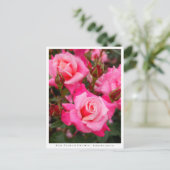 Carte Postale Rosa Princess Chichibu (Debout devant)