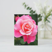 Carte Postale Rosa Princess Chichibu：Postcard (Debout devant)