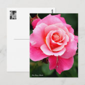Carte Postale Rosa Princess Chichibu：Postcard (Devant / Derrière)