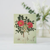 Carte Postale Rosa rugosa, de 'Flora Japonica' (Debout devant)