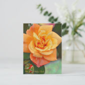 Carte Postale Rosa Souvenir de Anne Frank [Carte postale] (Debout devant)