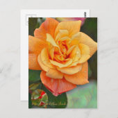 Carte Postale Rosa Souvenir de Anne Frank [Carte postale] (Devant / Derrière)