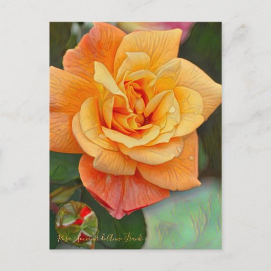 Carte Postale Rosa Souvenir de Anne Frank [Carte postale] (Devant)