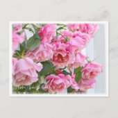 Carte Postale Rosa Spanish Beauty (Devant)
