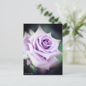 Carte Postale Rosa Sweet Moon (Debout devant)