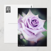 Carte Postale Rosa Sweet Moon (Devant / Derrière)