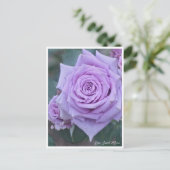 Carte Postale Rosa Sweet Moon (Debout devant)