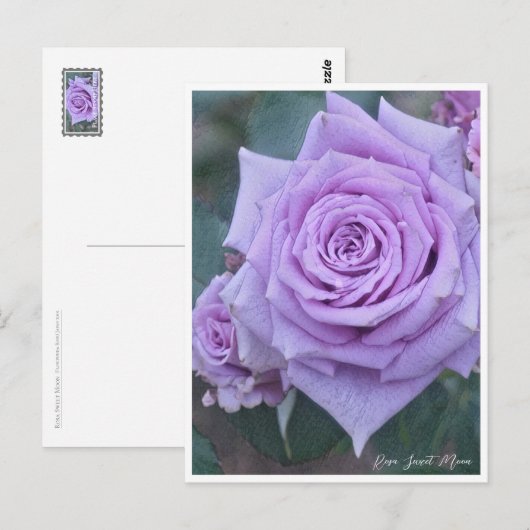 Carte Postale Rosa Sweet Moon (Devant / Derrière)