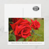 Carte Postale Rosa Uncle Walter (Devant / Derrière)