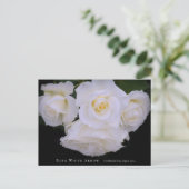Carte Postale Rosa White Arrow (Debout devant)