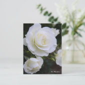 Carte Postale Rosa White Arrow:Postcard (Debout devant)