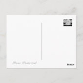 Carte Postale Rosa White Arrow:Postcard (Dos)