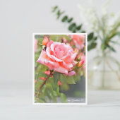 Carte Postale Rosa Zambra '93 (Debout devant)