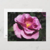 Carte Postale Rosas Moradas 3 (Devant / Derrière)