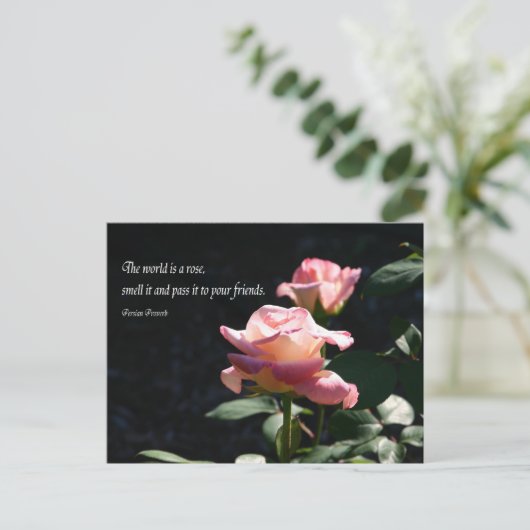 Carte Postale rose (Debout devant)