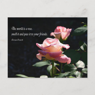 Carte Postale rose