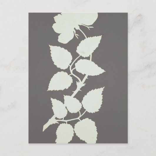 Carte Postale Rose (Devant)