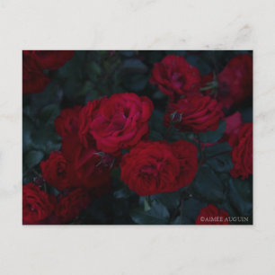 Carte postale rose