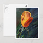 Carte postale rose (Devant / Derrière)