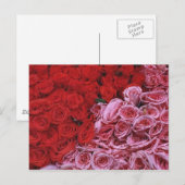 Carte Postale Rose (Devant / Derrière)