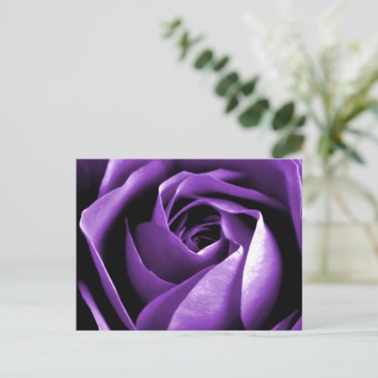 Carte Postale Rose (Debout devant)