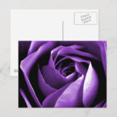 Carte Postale Rose (Devant / Derrière)