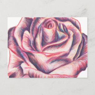 Carte Postale Rose