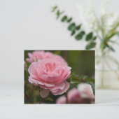 Carte postale rose (Debout devant)