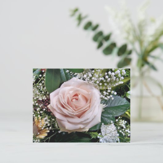 CARTE POSTALE ROSE (Debout devant)