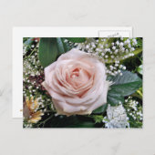 CARTE POSTALE ROSE (Devant / Derrière)