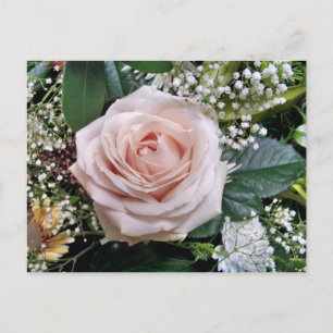 CARTE POSTALE ROSE