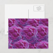 Carte postale rose (Devant / Derrière)