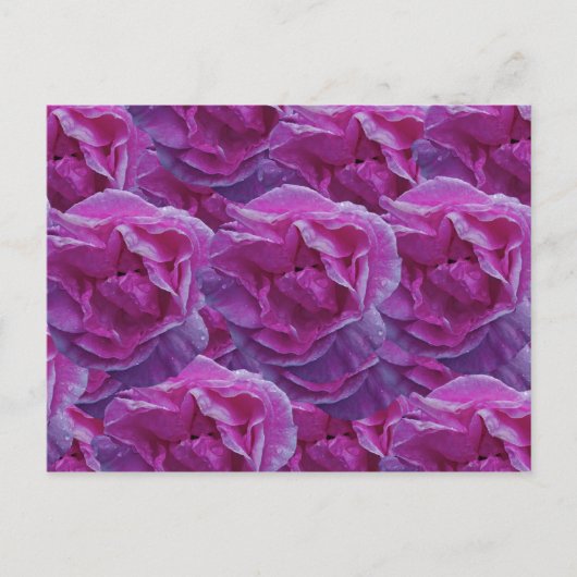 Carte postale rose (Devant)