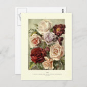 Carte Postale Rose (Devant / Derrière)