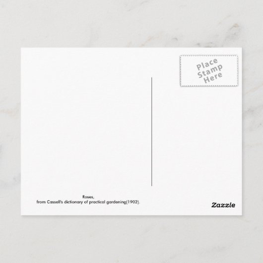 Carte Postale Rose (Dos)