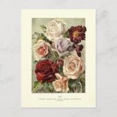 Carte Postale Rose (Devant)