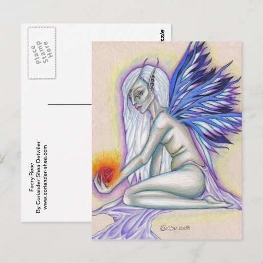 Carte postale Rose (Devant / Derrière)