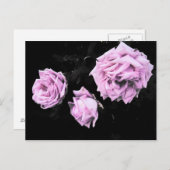 Carte Postale Rose (Devant / Derrière)