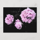 Carte Postale Rose (Devant)