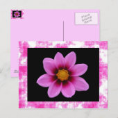 Carte postale rose (Devant / Derrière)