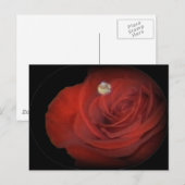 Carte Postale Rose (Devant / Derrière)