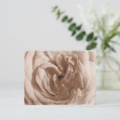 Carte postale rose (Debout devant)