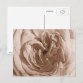 Carte postale rose (Devant / Derrière)