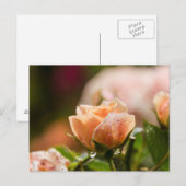 Carte postale rose (Devant / Derrière)